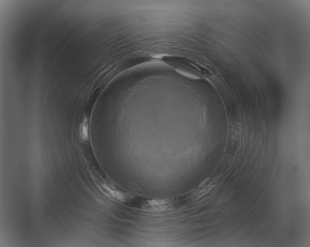 X0000076380095200610061136