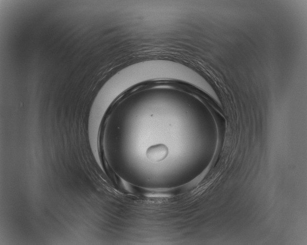 X0000076380096200610061136