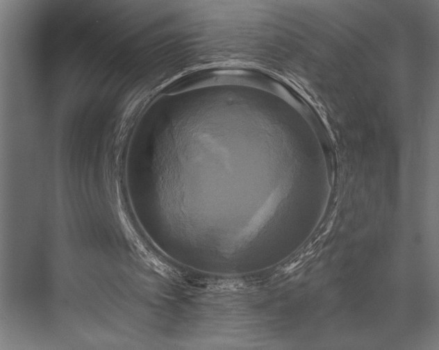 X0000076380097200610061135