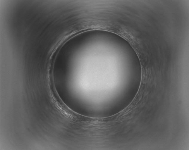 X0000076380098200610061135