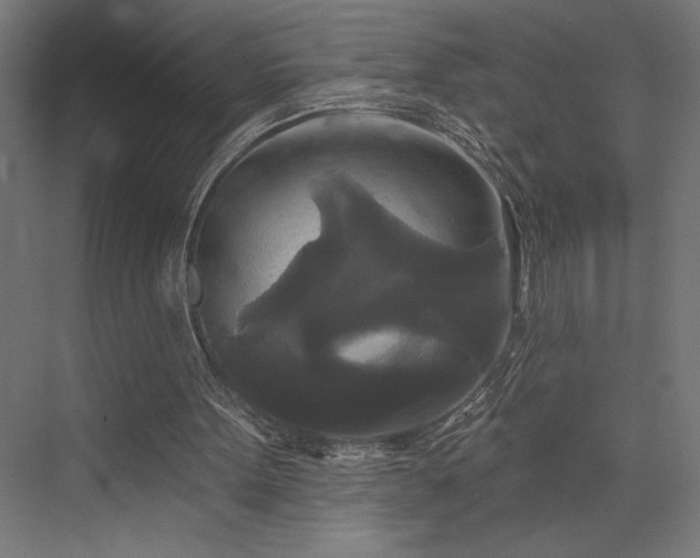 X0000076380099200610061135