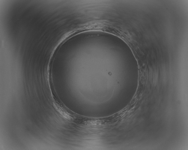 X0000076380100200610061135