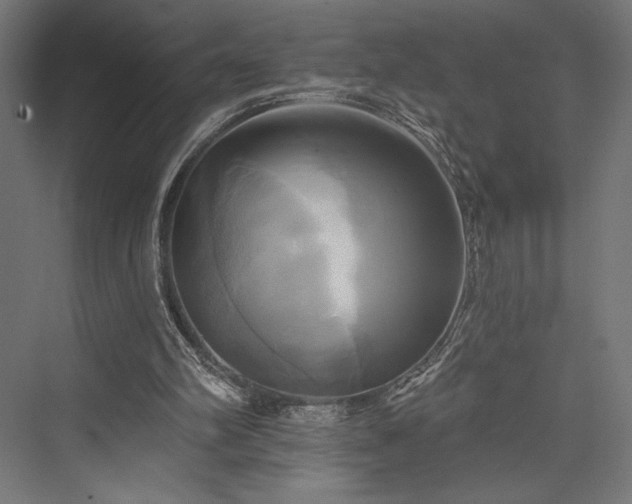 X0000076380102200610061135