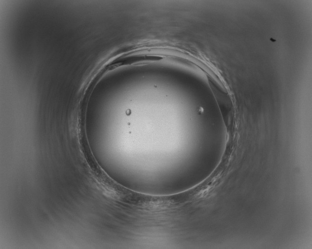 X0000076380103200610061135