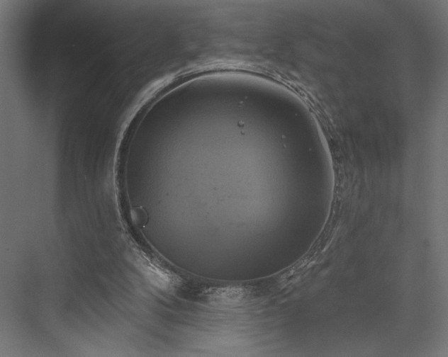 X0000076380104200610061135