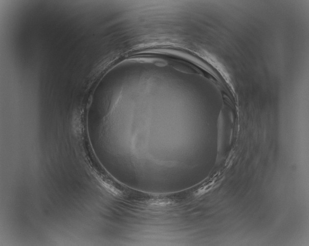 X0000076380105200610061135