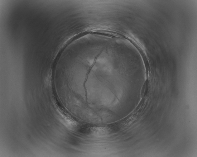 X0000076380107200610061135