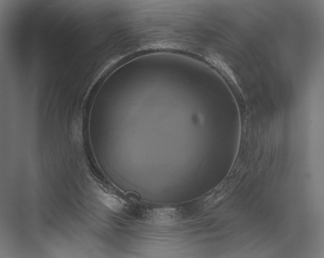 X0000076380108200610061135