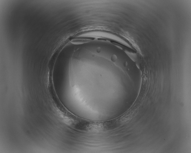 X0000076380110200610061135