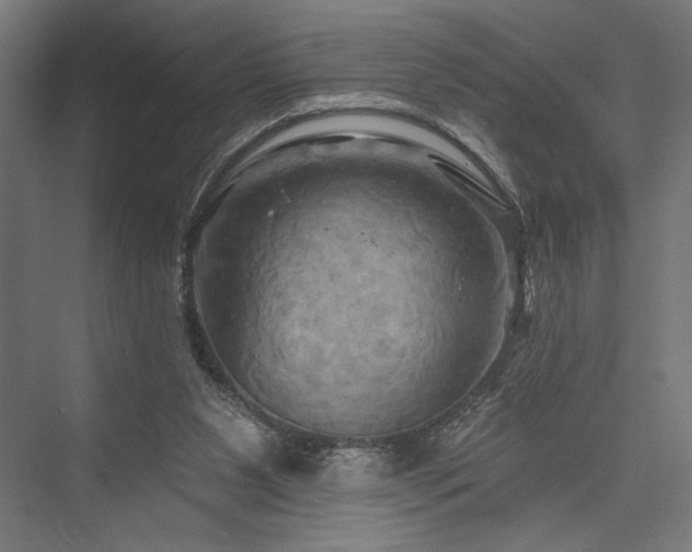 X0000076380111200610061135