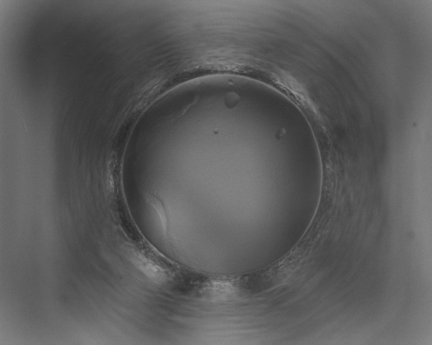 X0000076380114200610061135