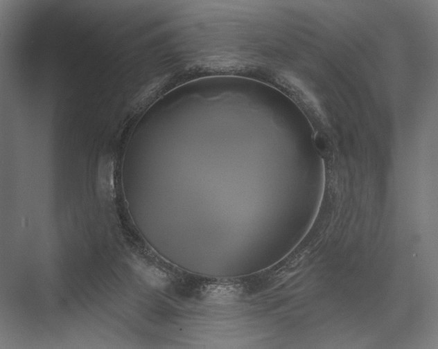 X0000076380115200610061135