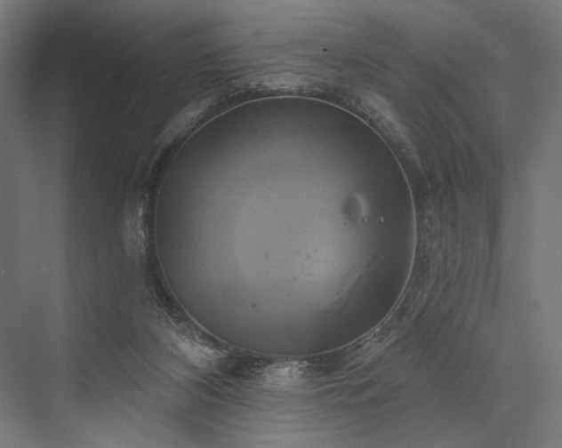 X0000076380116200610061135