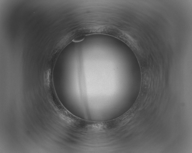 X0000076380118200610061135