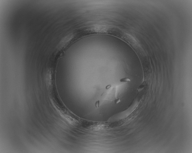 X0000076380120200610061135