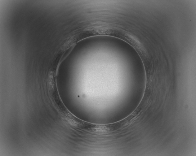 X0000076380121200610061134