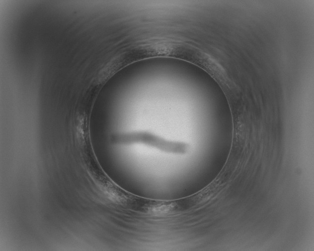 X0000076380122200610061134