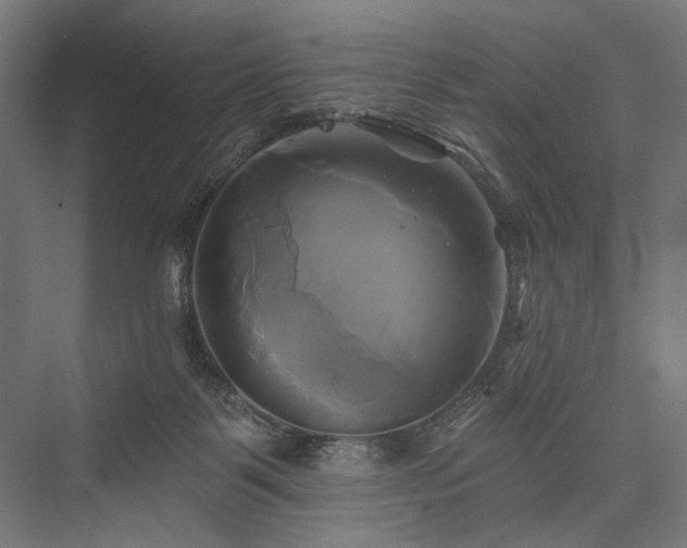 X0000076380123200610061134