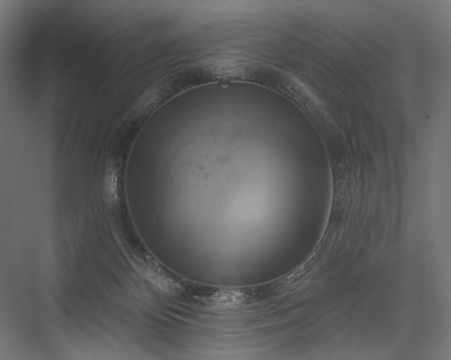 X0000076380124200610061134