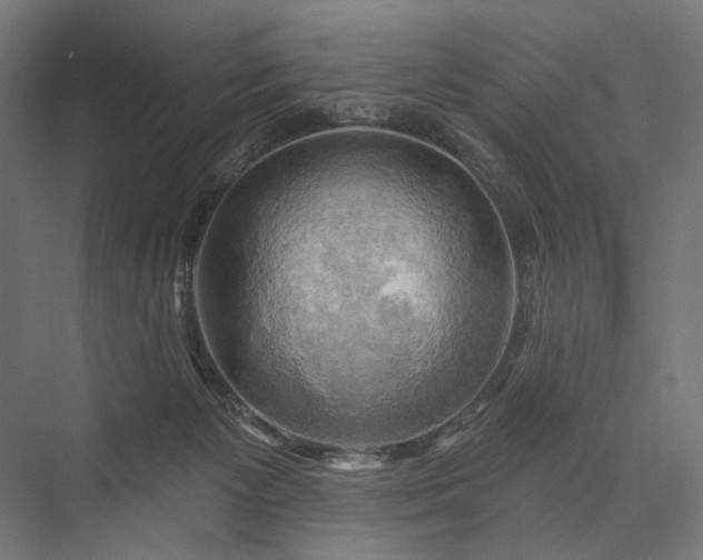 X0000076380125200610061134