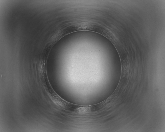 X0000076380126200610061134