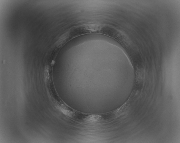 X0000076380128200610061134