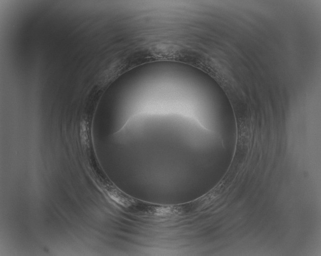 X0000076380130200610061134