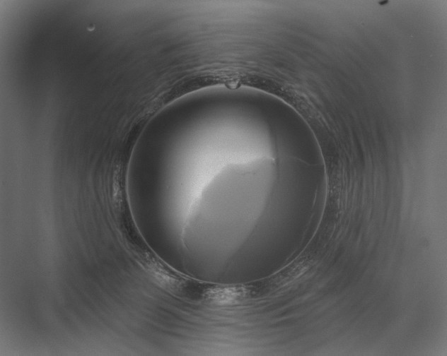 X0000076380131200610061134