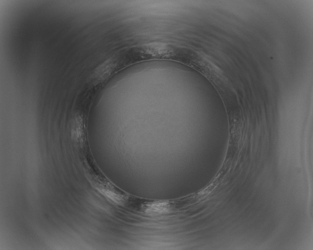 X0000076380132200610061134