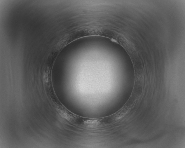 X0000076380133200610061134