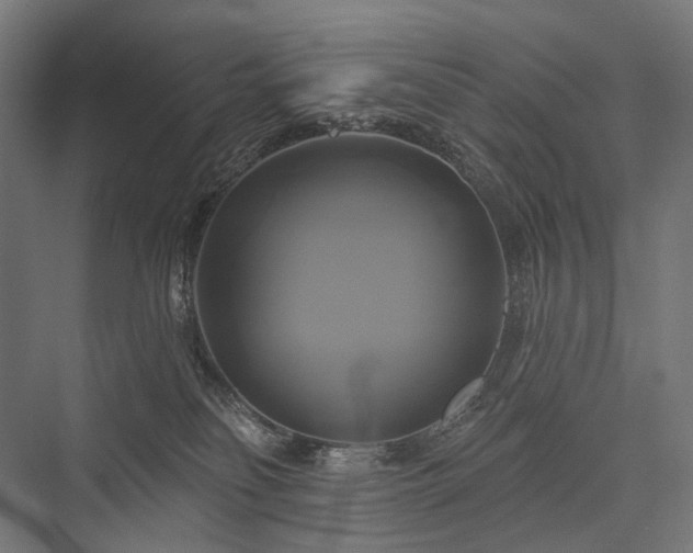 X0000076380134200610061134