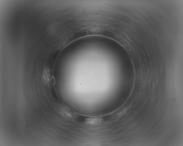 X0000076380135200610061134