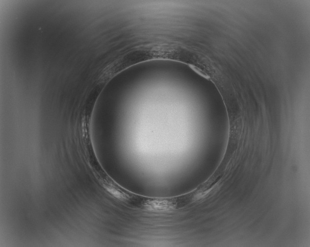 X0000076380137200610061134