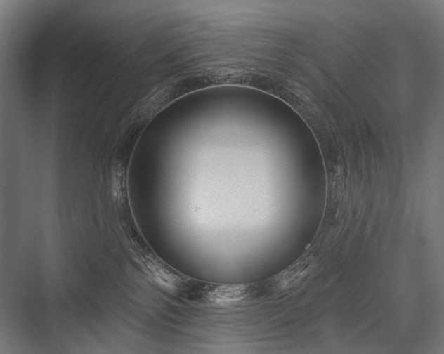 X0000076380138200610061134