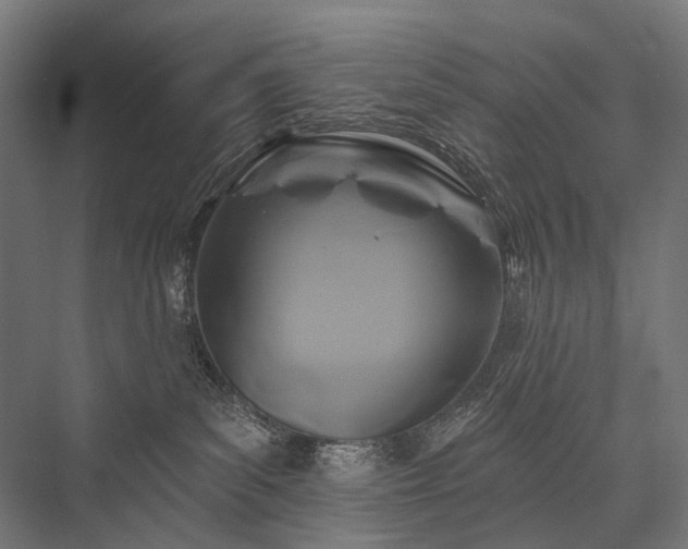 X0000076380139200610061134