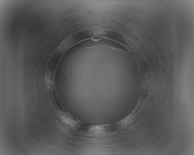 X0000076380140200610061134