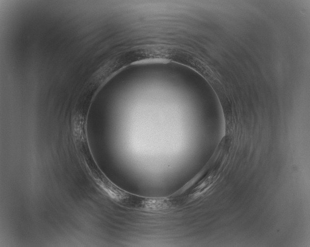 X0000076380141200610061134