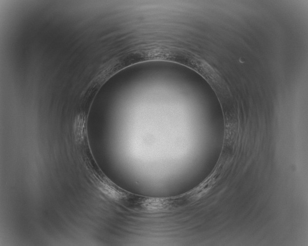 X0000076380142200610061134