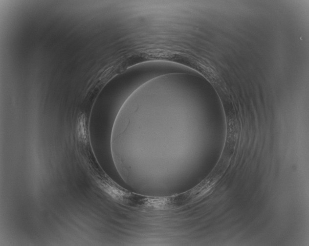 X0000076380143200610061134