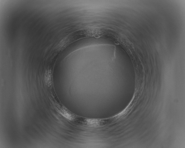 X0000076380144200610061134