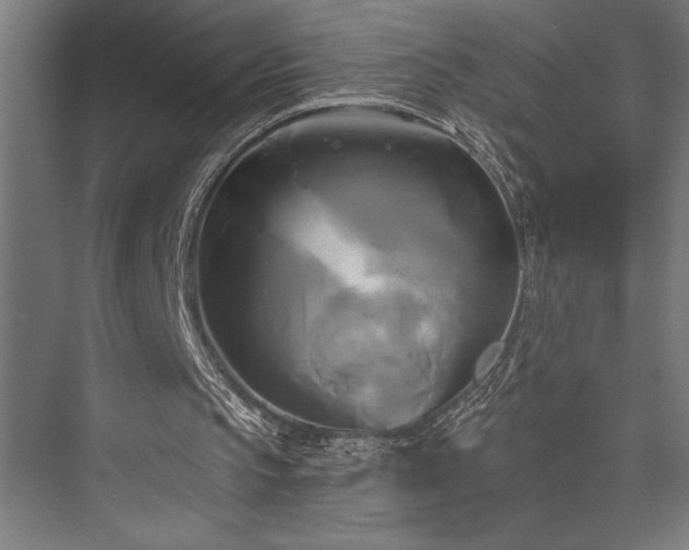 X0000076380145200610061133