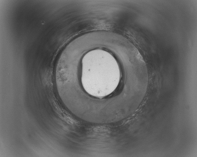 X0000076380146200610061133