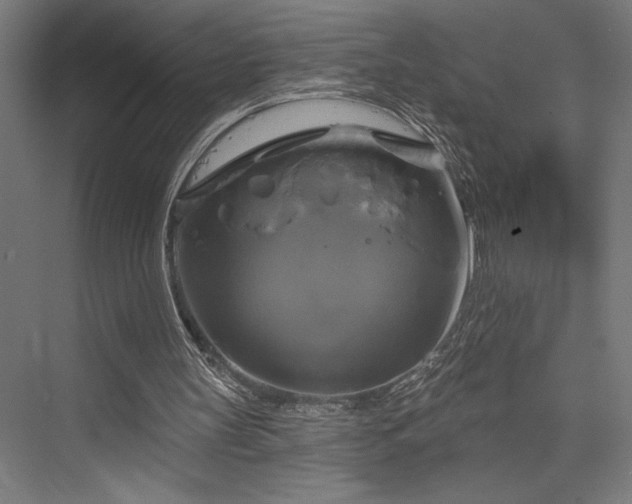 X0000076380147200610061133