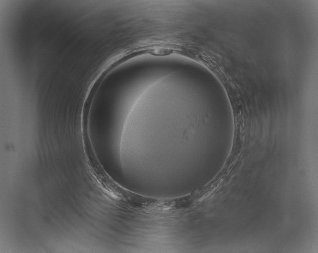 X0000076380148200610061133