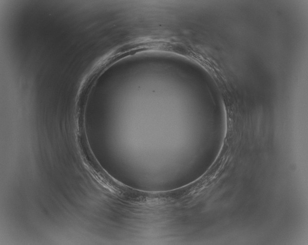 X0000076380149200610061133