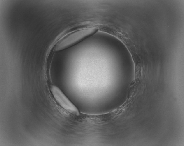 X0000076380150200610061133