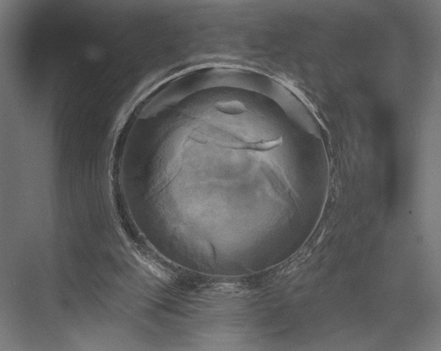 X0000076380151200610061133