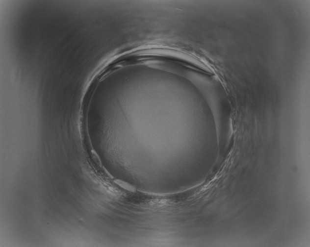 X0000076380152200610061133