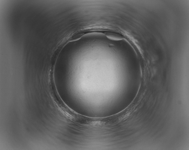 X0000076380153200610061133