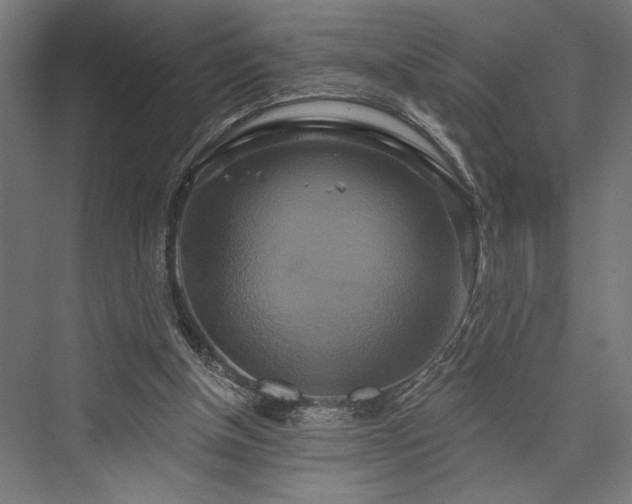 X0000076380154200610061133